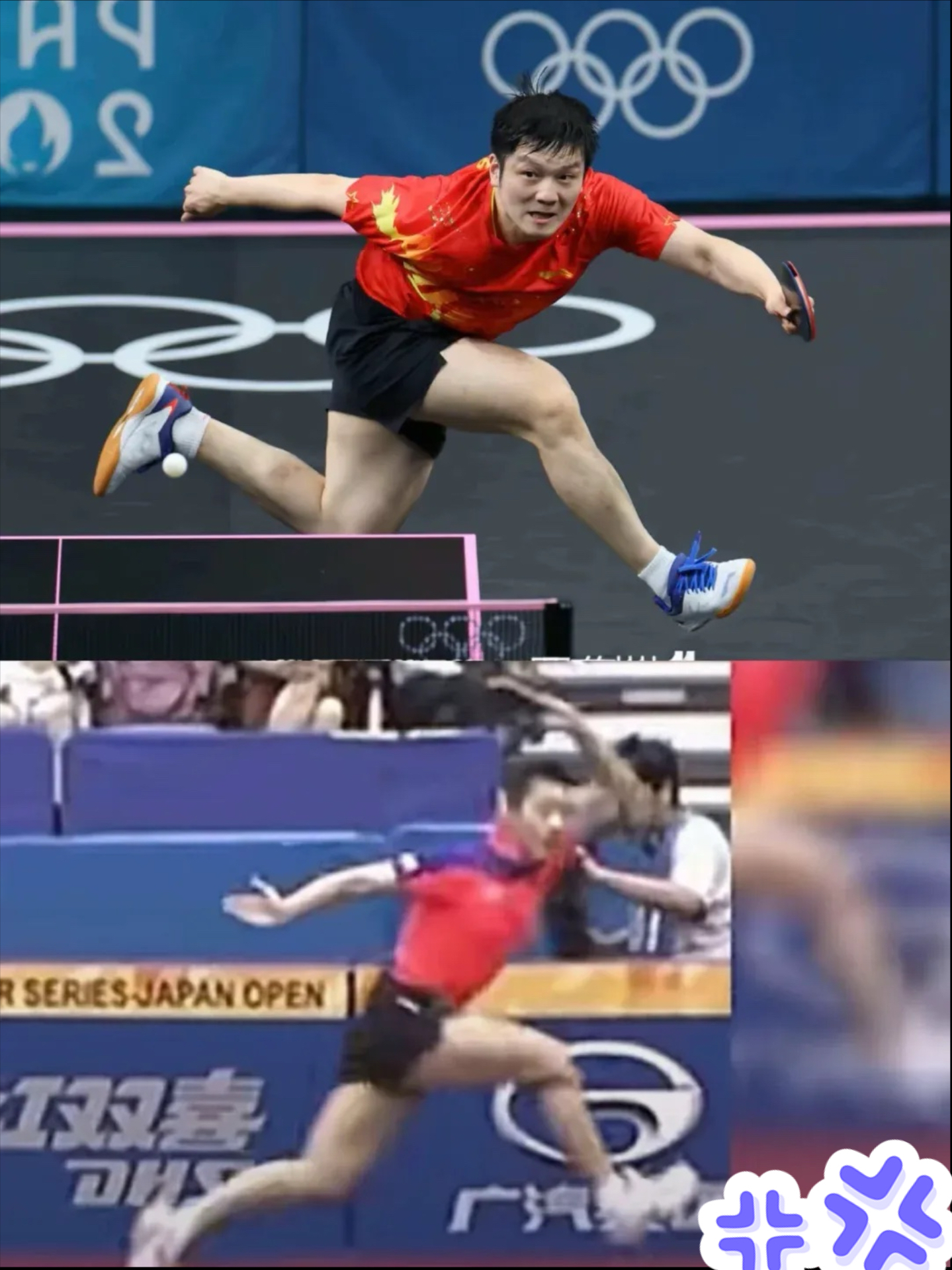 奥地利队横扫日本队，张继科刷新纪录