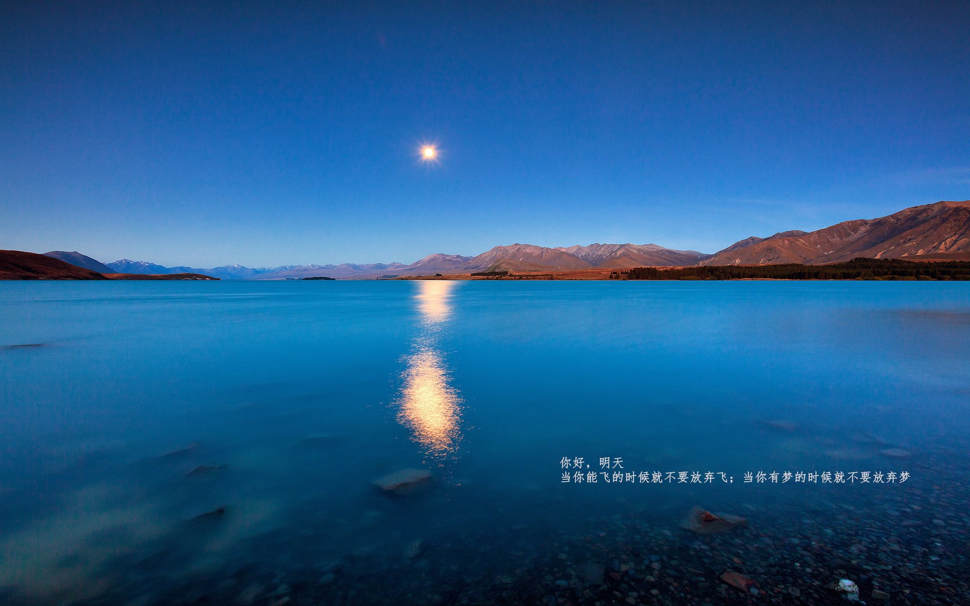 新王炸裂,团队洪流!爱德华兹爆发,猛龙火力压制雄鹿