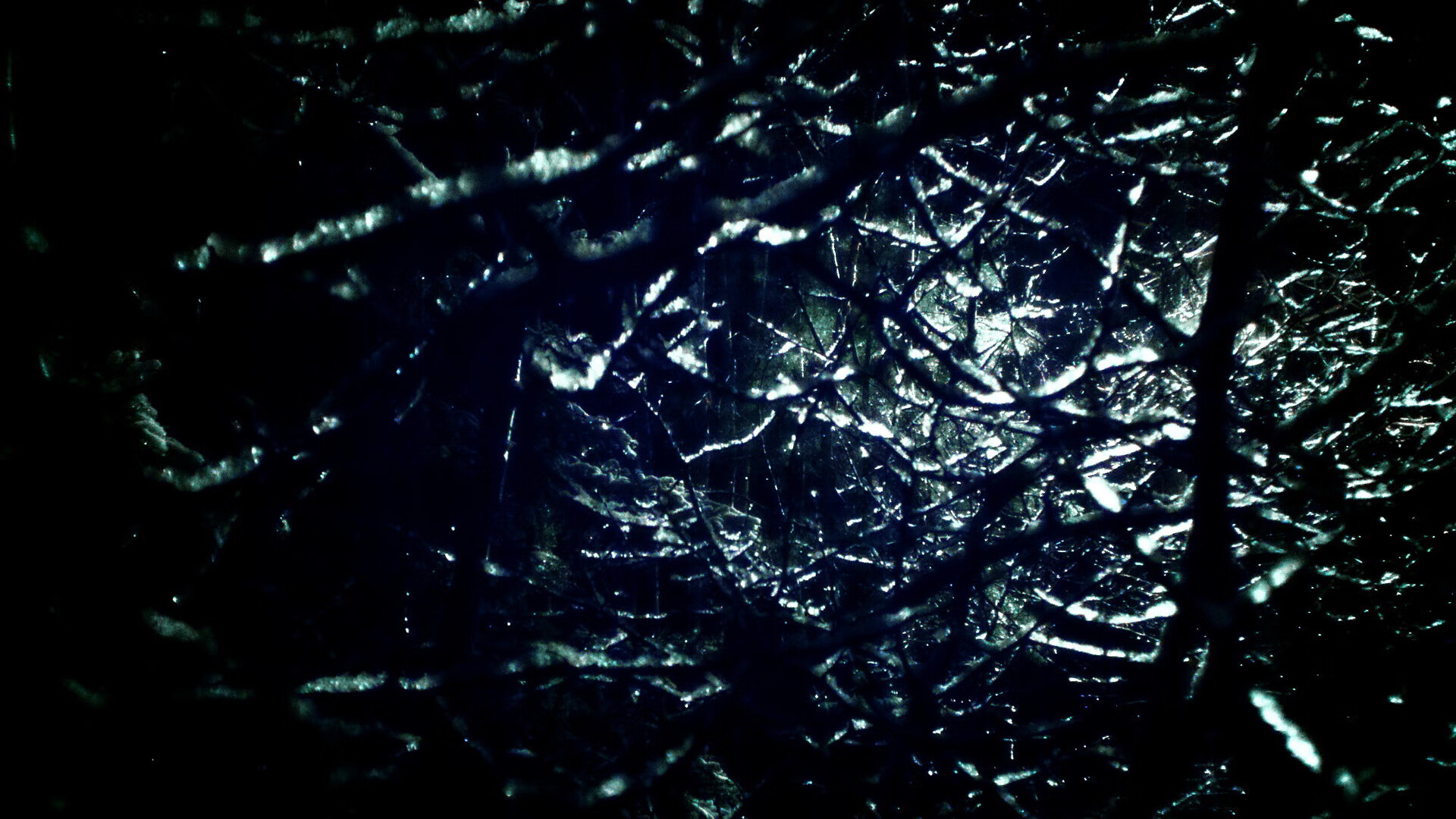 楚阿梅尼独奏会,摩纳哥的意外盛宴与一人的优雅杀戮