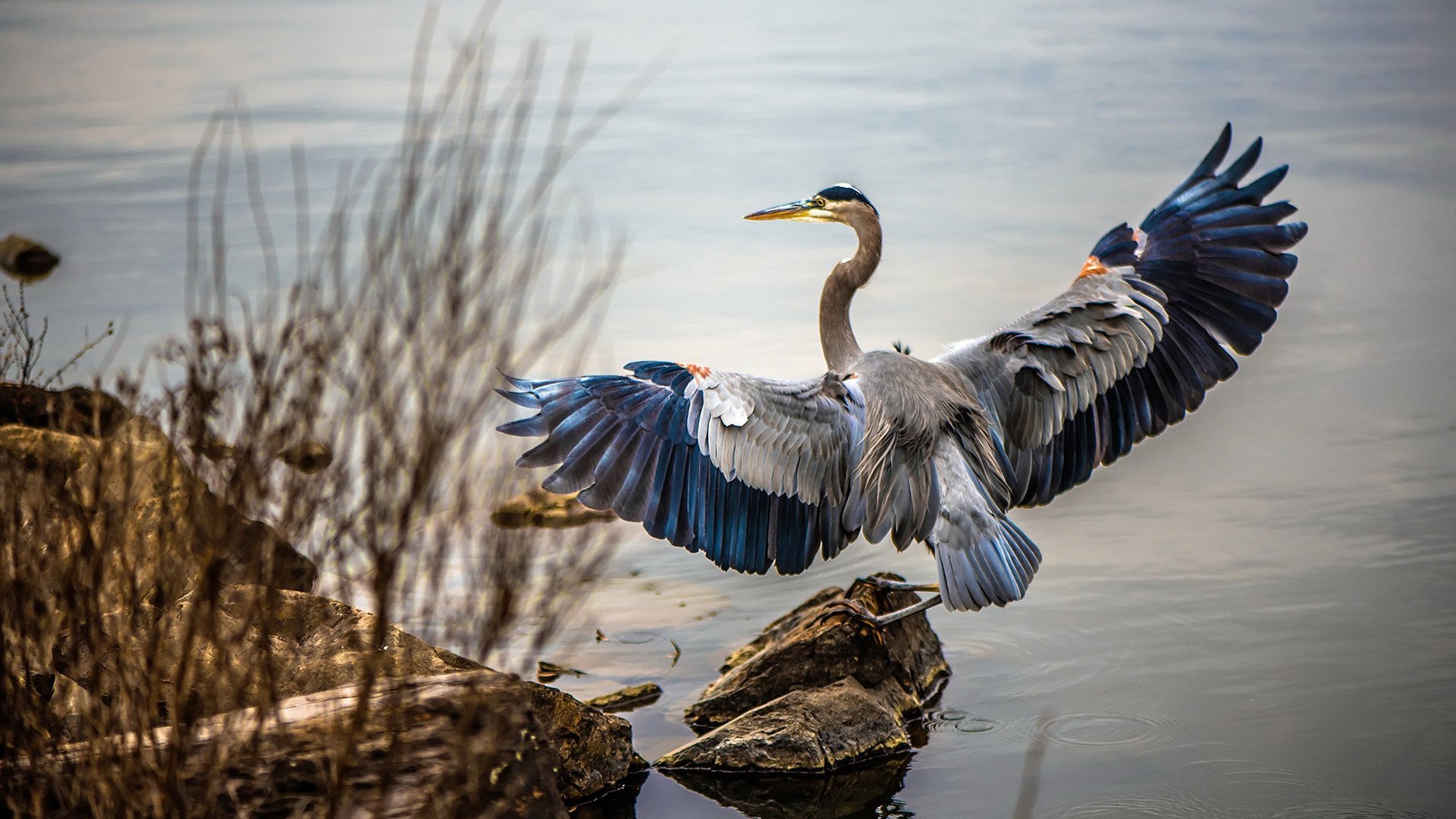 门神与雨林的共振,当南非碾压摩洛哥的声浪穿透2026