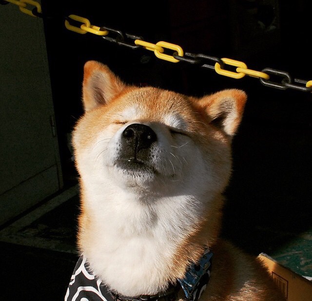 蓝色狂想曲与终场哨的顿悟,布雷默唯一一次为拉齐奥出战的巅峰对决