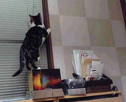 世纪碰撞，当曼联红魔遇上乌拉圭蓝，李刚仁的跨时空制胜一击