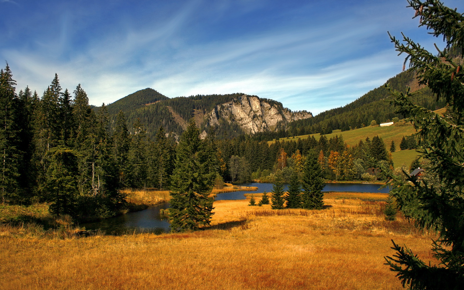 单星闪耀难敌群狼噬金，当楚阿梅尼的星光撞上土耳其的钢铁洪流