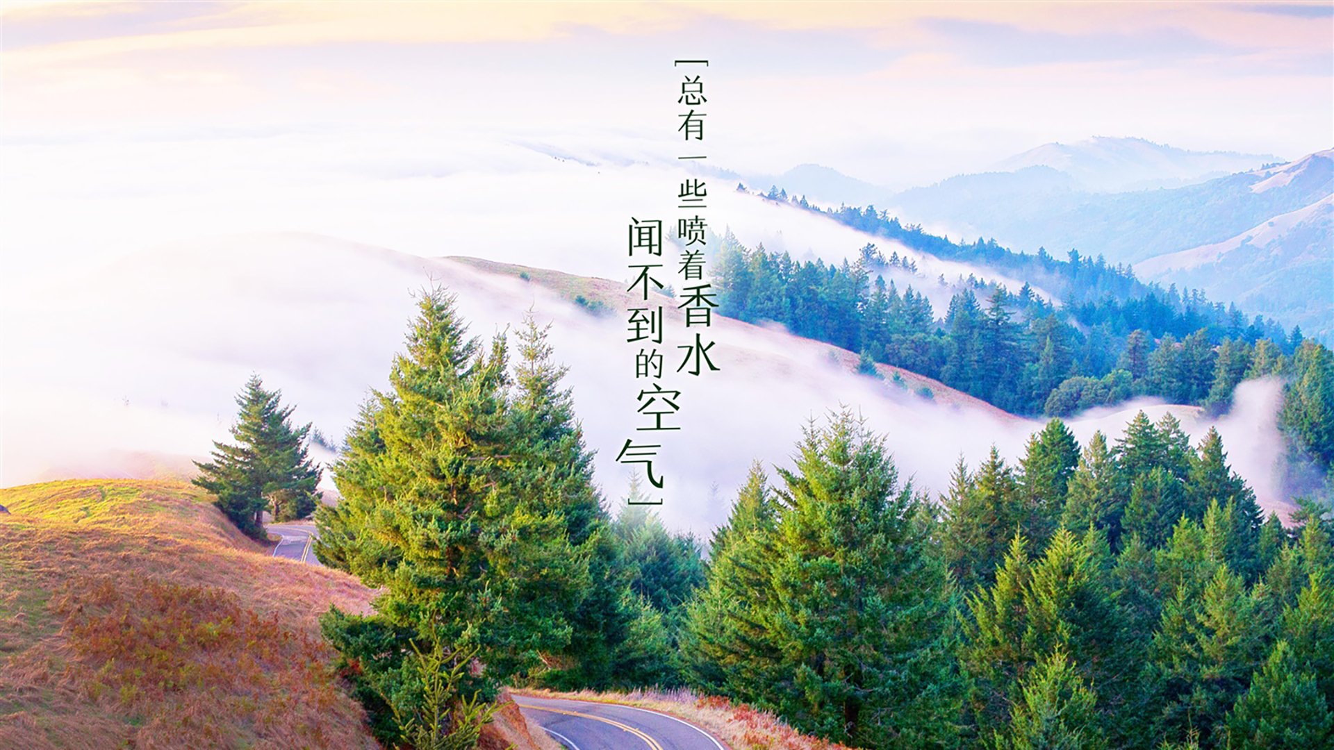 B组生死夜，阿联酋绝杀丹麦，德布劳内导演逆转，亚洲与欧洲的冰火碰撞