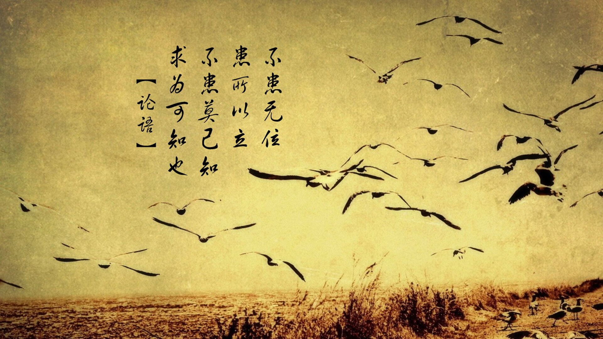 钢铁与星光的协奏，波兰铁幕下的摩洛哥幻影，莱万铸就E组王座之匙