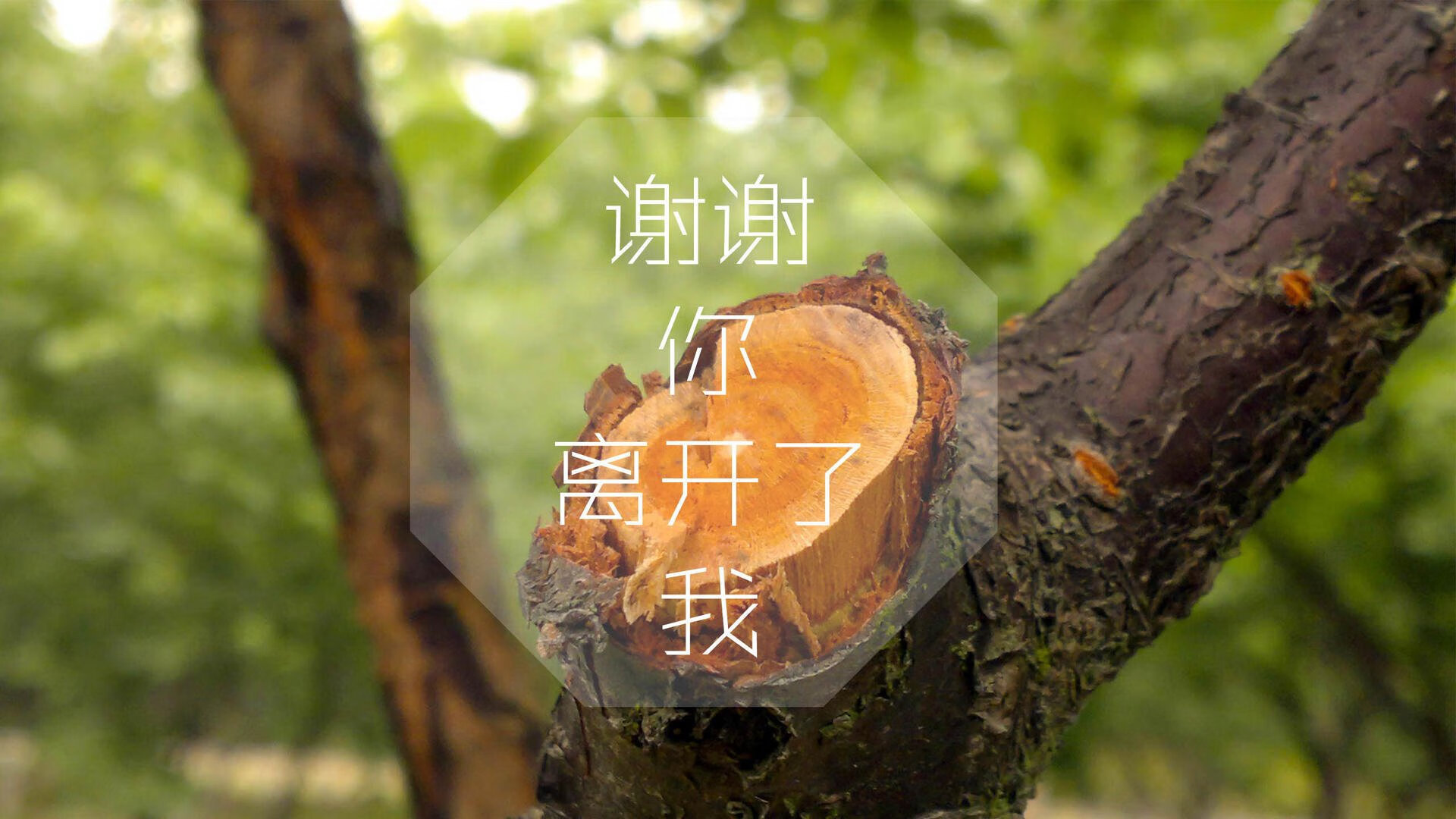 蓝衣在绿茵，一场定义唯一性的中场铁幕与边路闪电