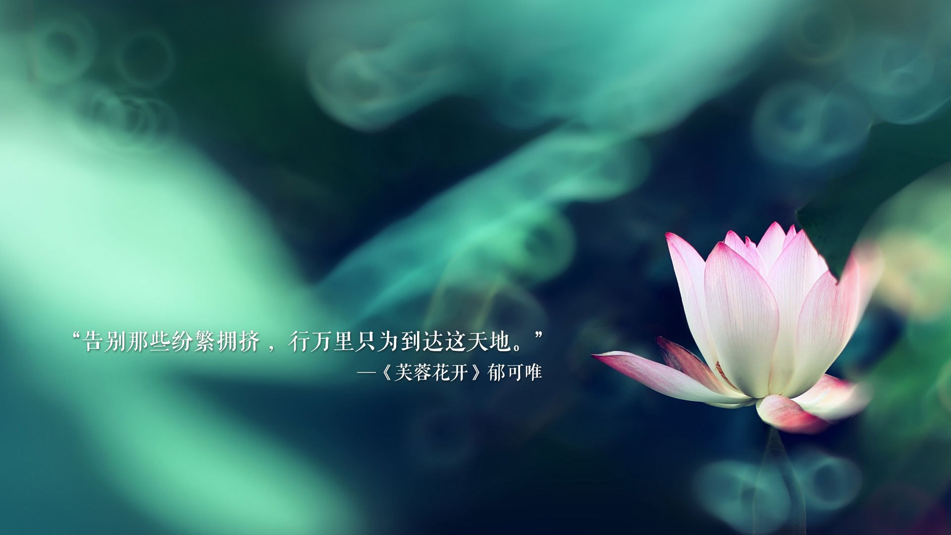 日耳曼铁骑碾碎袋鼠图腾，福登两传一射导演2026世界杯C组最窒息压制